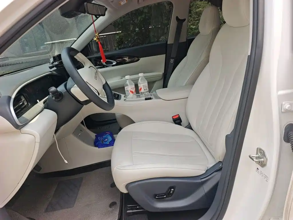 Geely Galaxy Starry Wish 2026 2026 Model 310km Dream Edition
