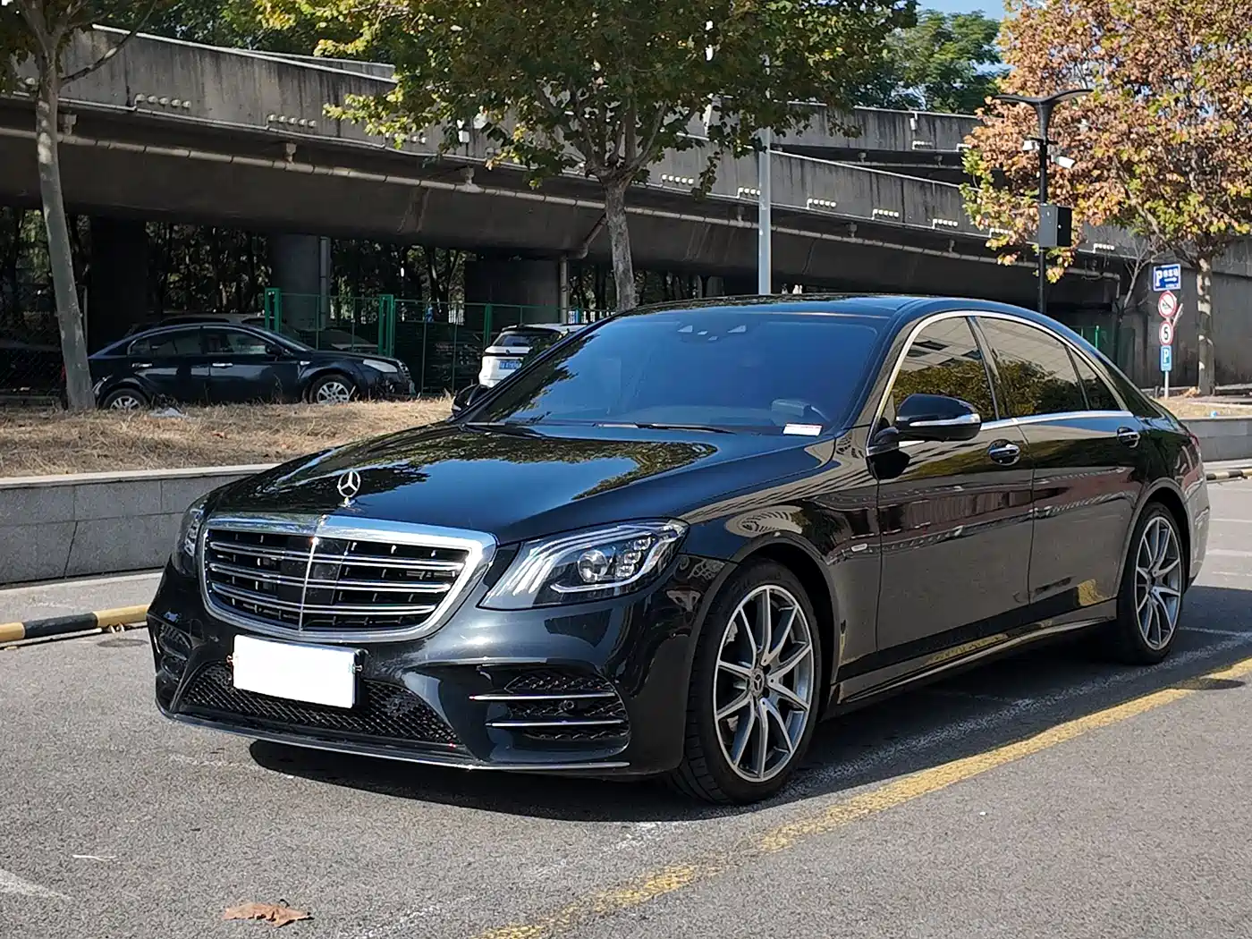 Mercedes-Benz S-Class 2020 S 450 L 4MATIC Collector's Version фото 2