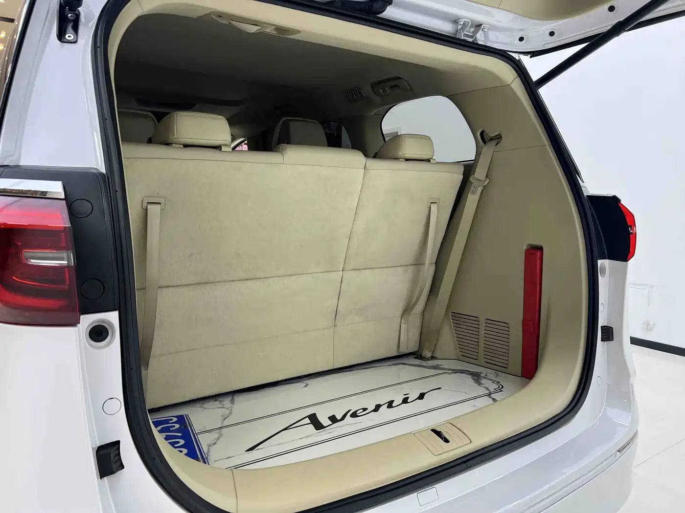 Buick GL8 2023 ES Landmaster Exclusive фото 24