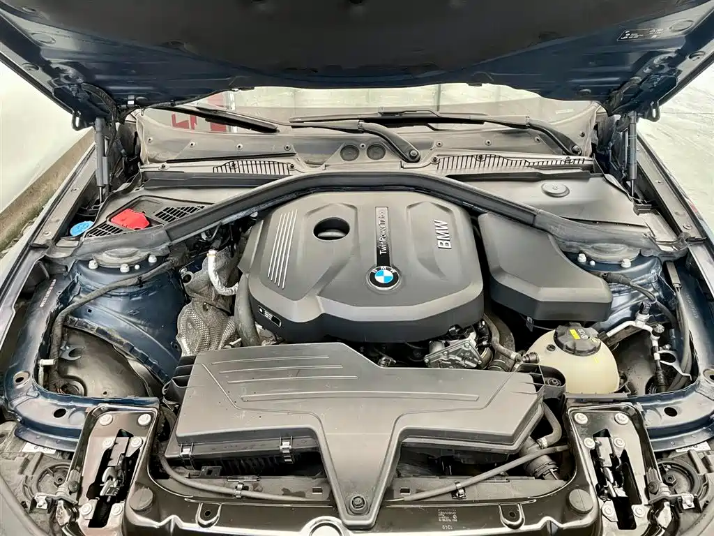 BMW 1 Series (Import) 2018 118i Leading фото 15