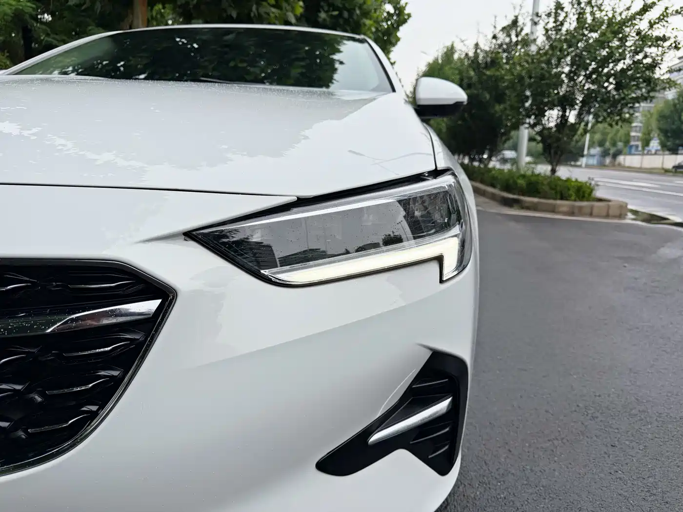 Buick Regal 2020 552T Elite фото 20