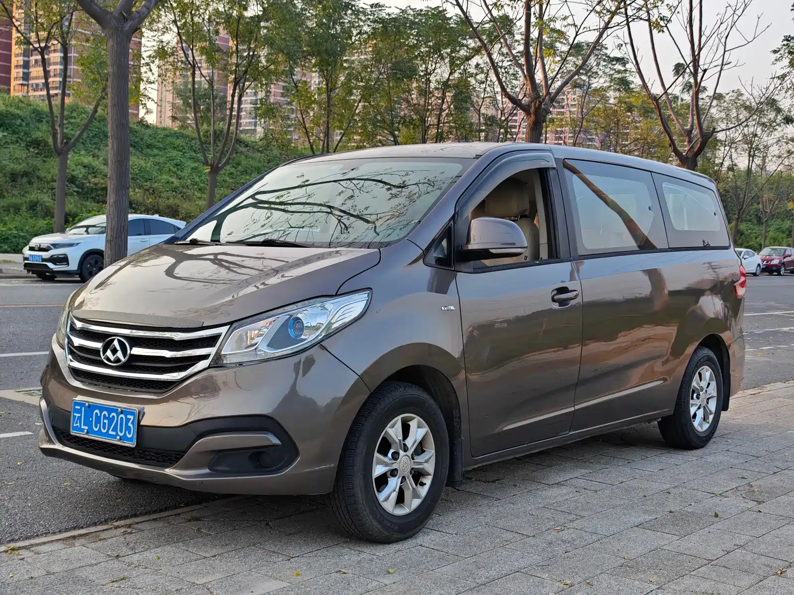 Фото 1 - Maxus G10