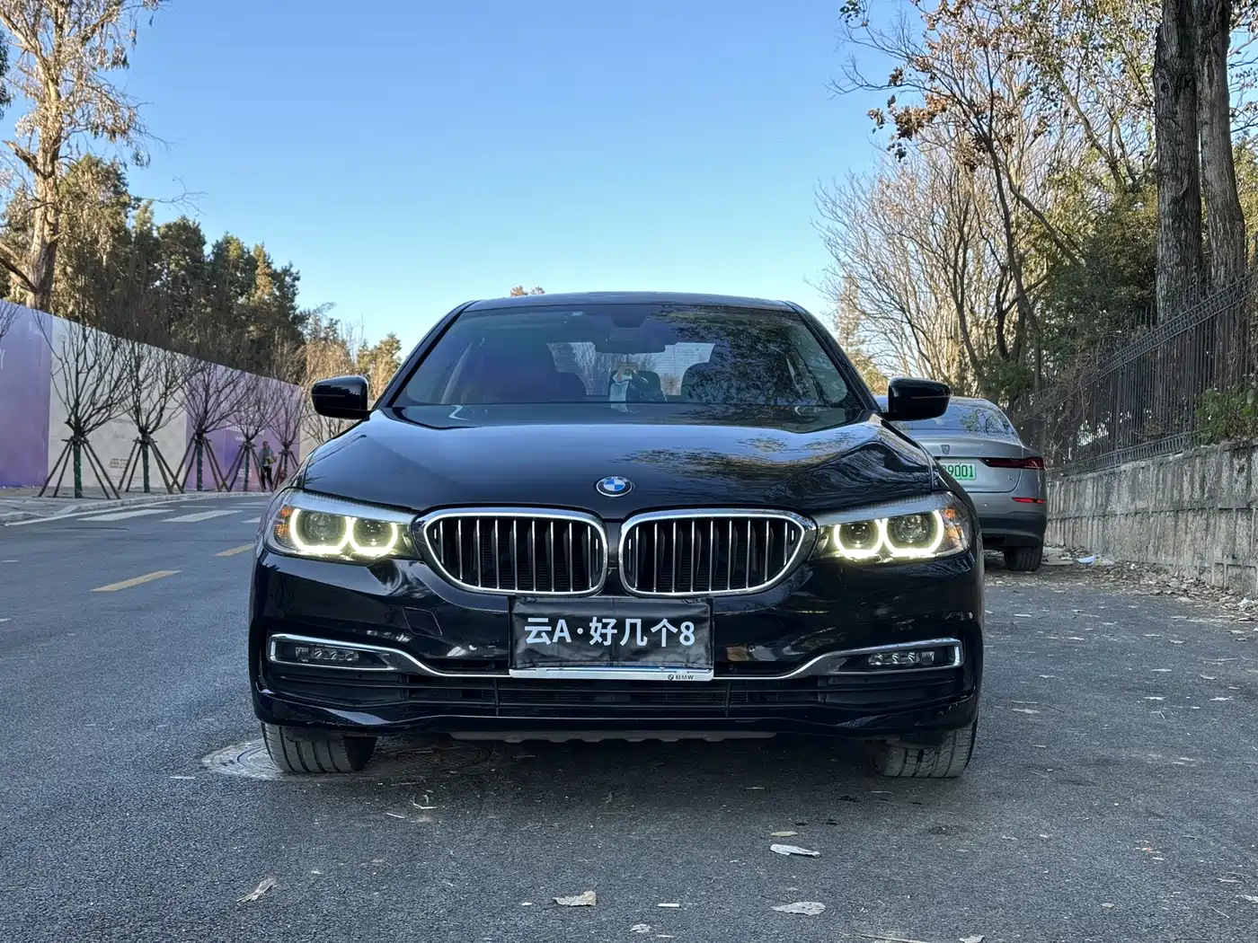 BMW 5 Series 2019 530Li Leading Luxury Package фото 2