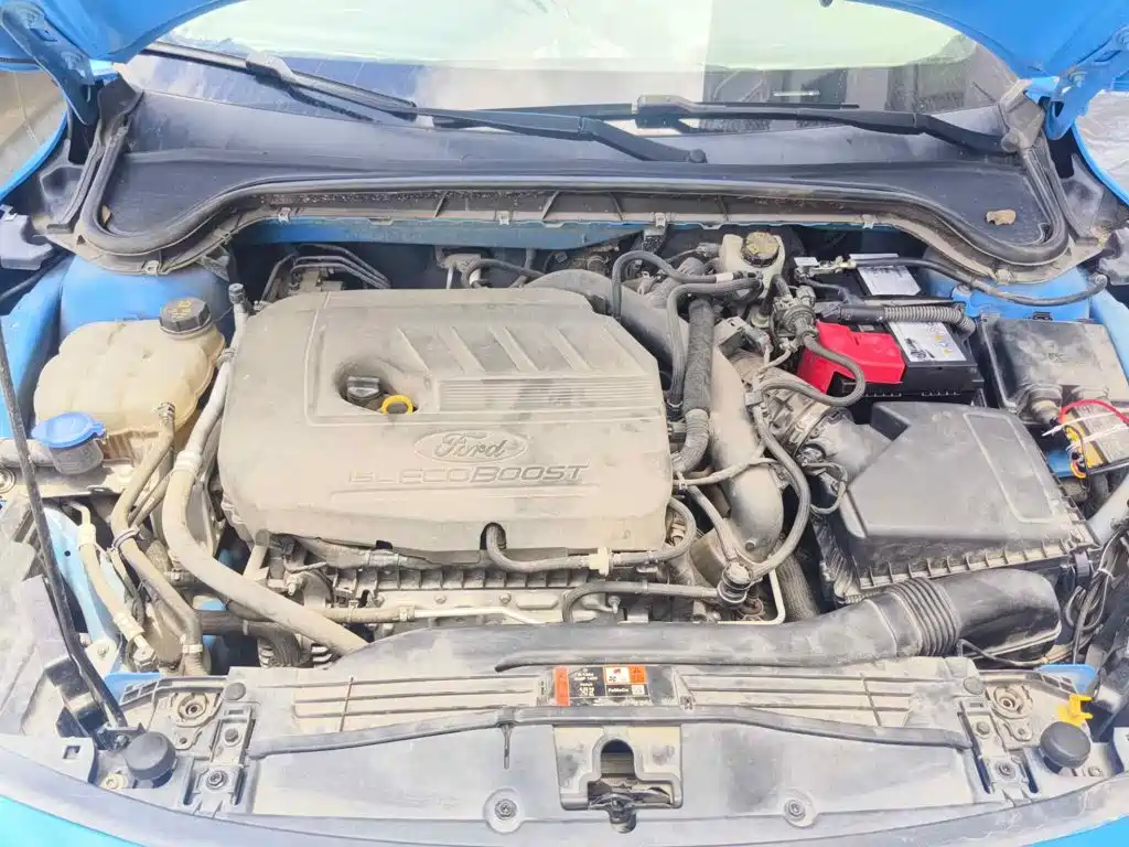 Ford Focus 2022 2022 Sedan EcoBoost 180 Auto Speed Edition