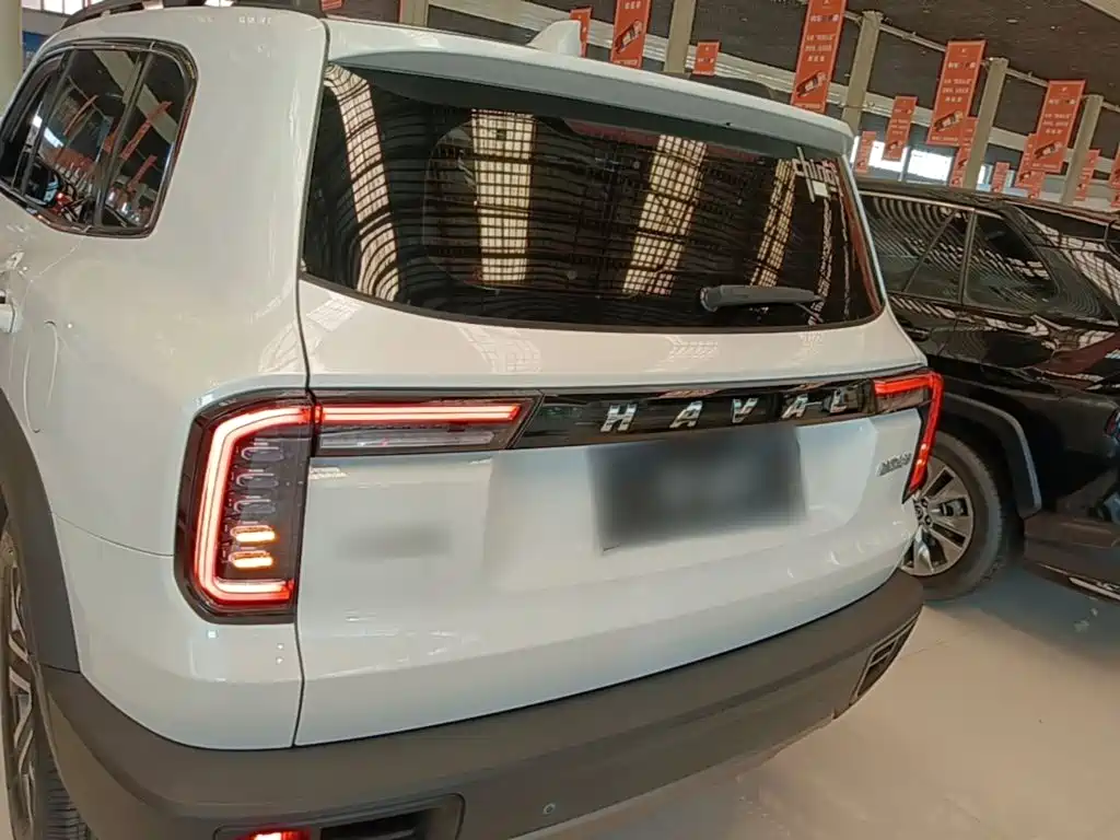 Фото 6 - Haval Dargo
