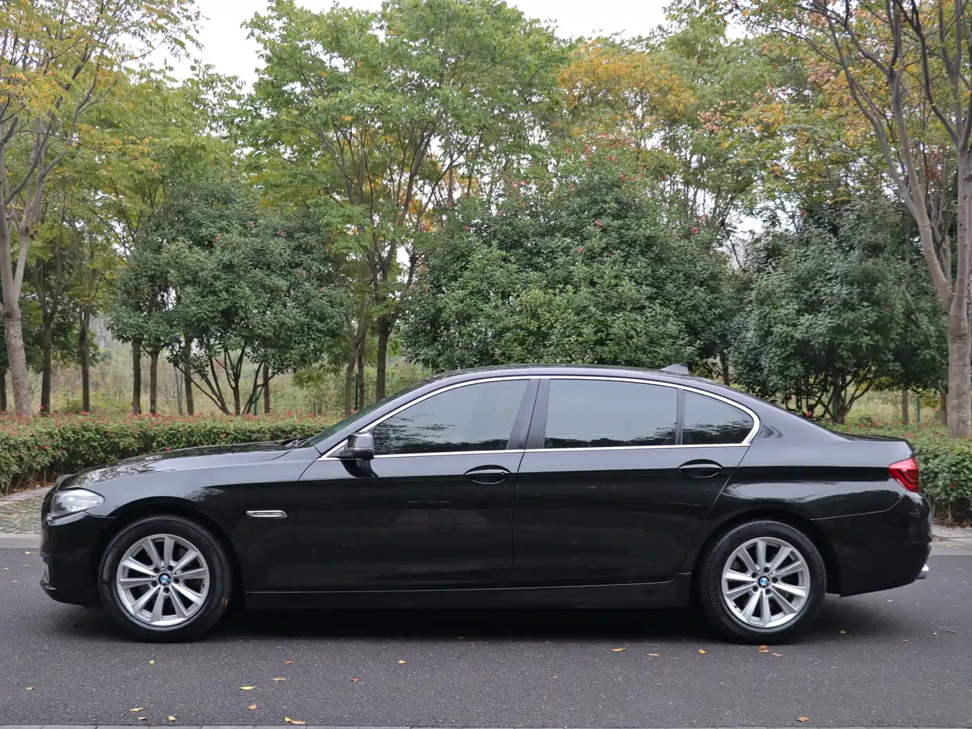 BMW 5 Series 2014 520Li Elegance фото 24