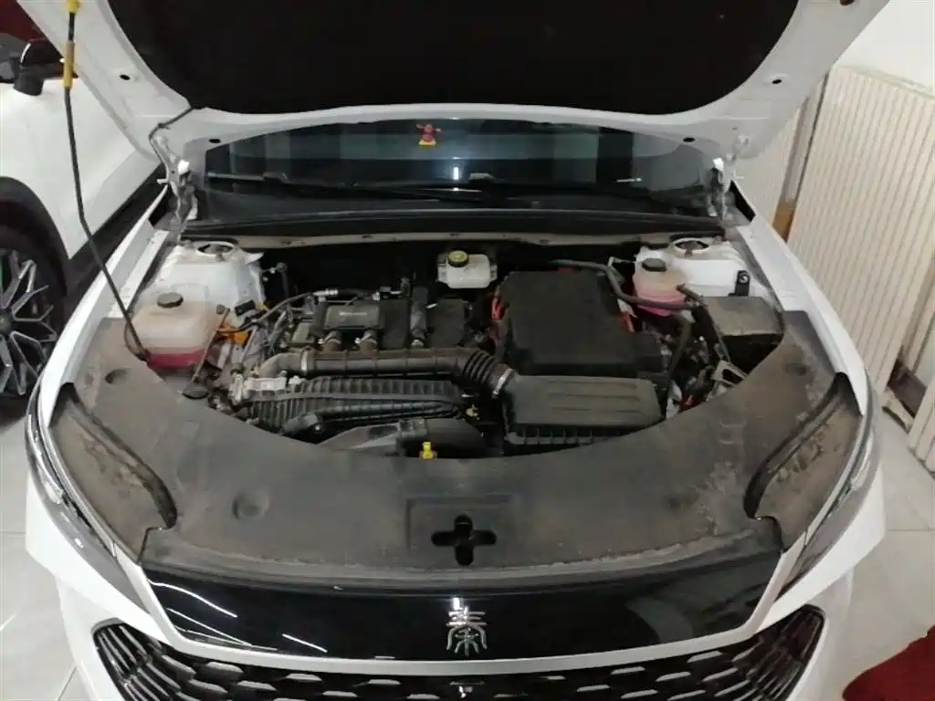 BYD Qin PLUS 2025 DM-i Smart Drive 55KM Leader фото 20