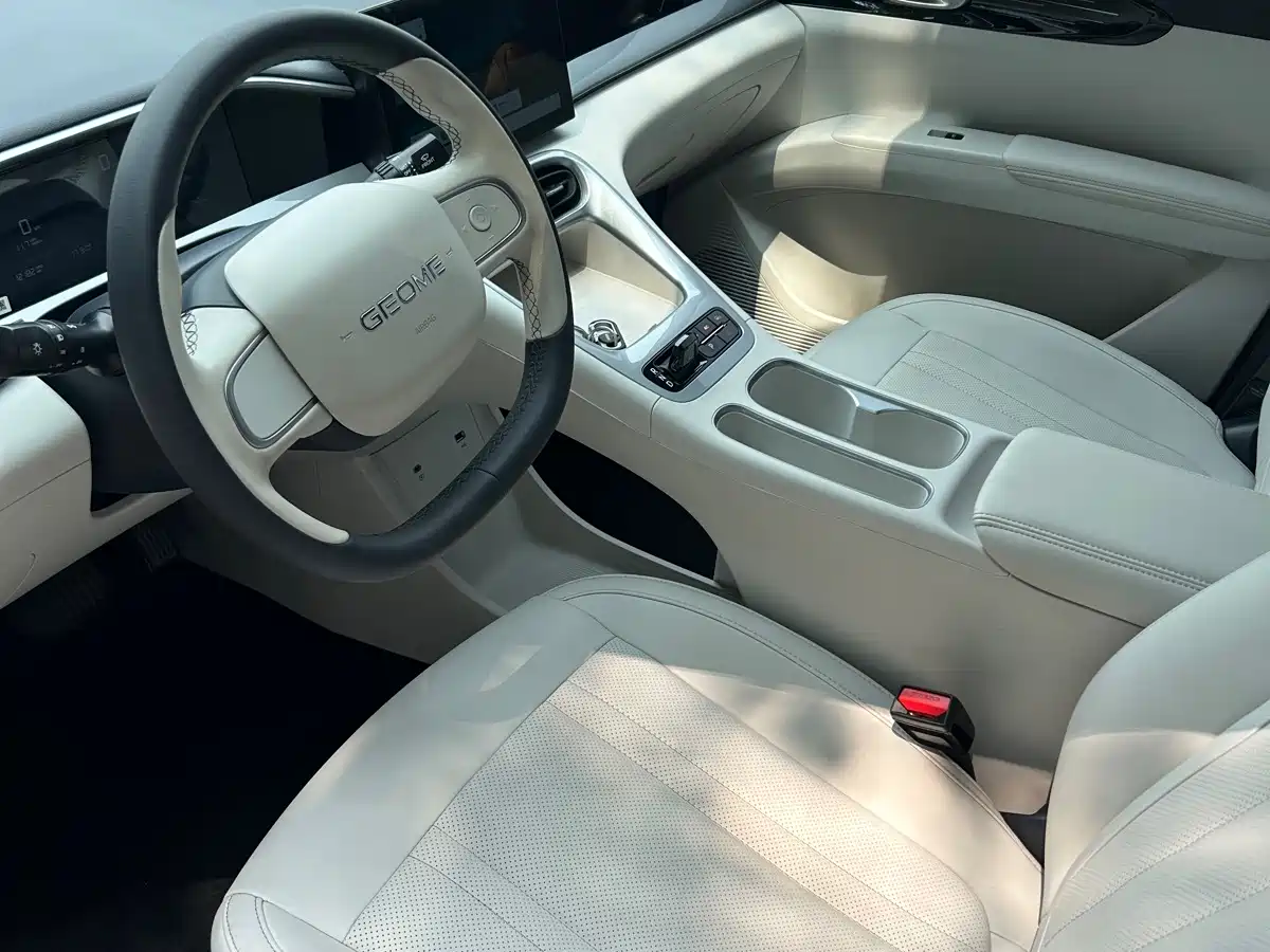Geely Galaxy Starry Wish 2025 2025 310km Youth Edition