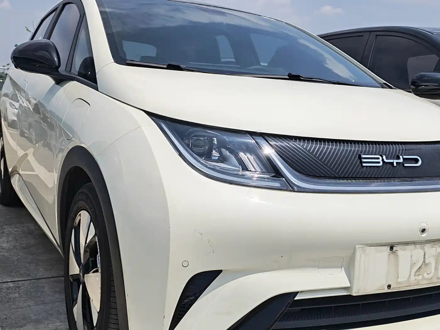BYD Dolphin 2023 420km Fashion Edition фото 17