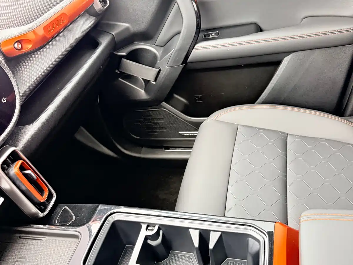 Haval Dargo 2021 2021 2.0T DCT 4WD Chinese Rural Dog Edition