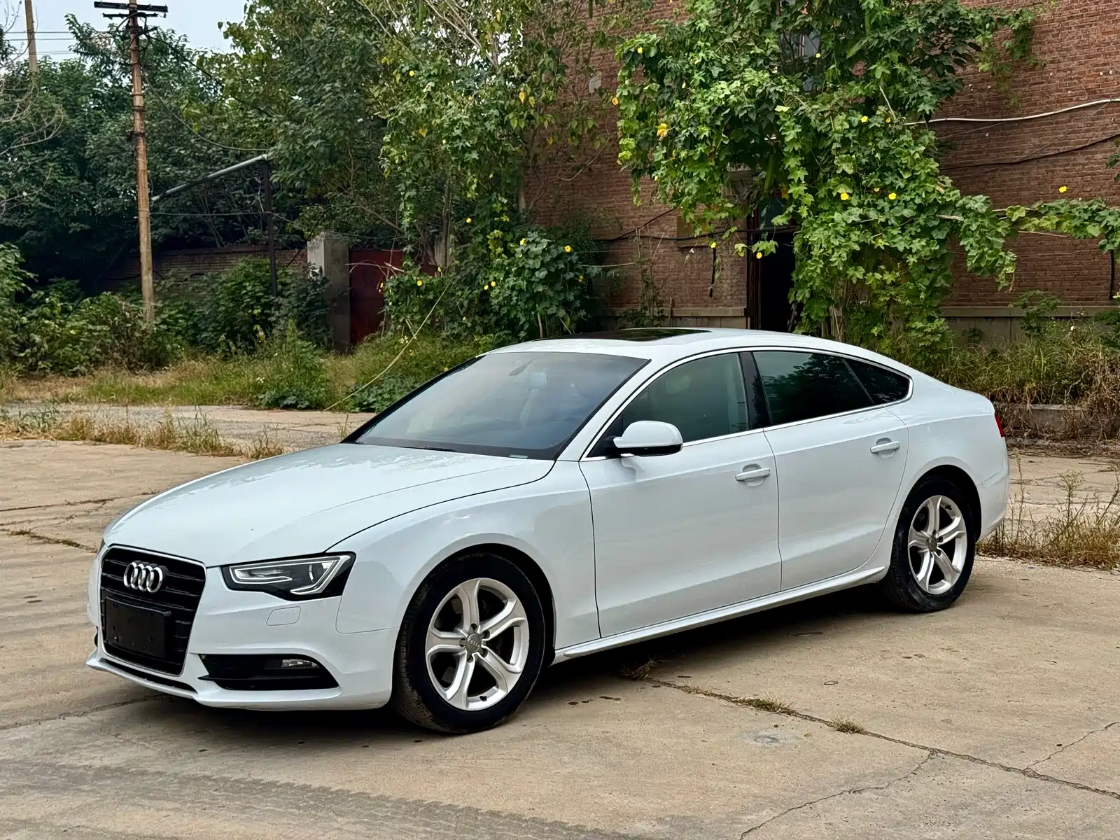 Фото 1 - Audi A5 (Import)