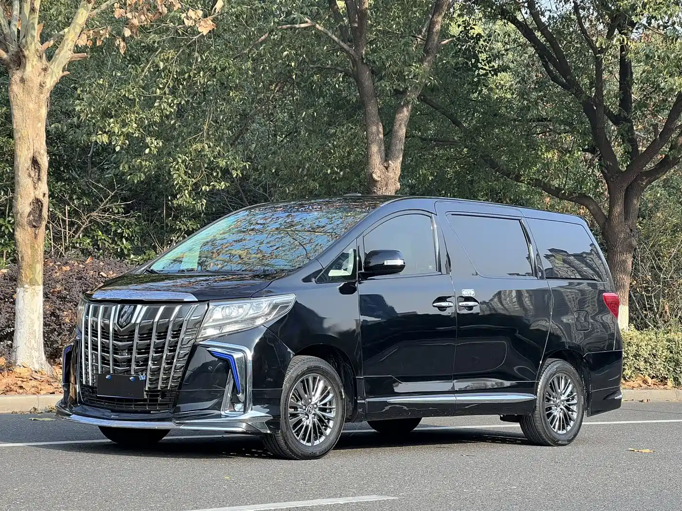 Toyota Alphard 2011 3.5L Luxury Edition