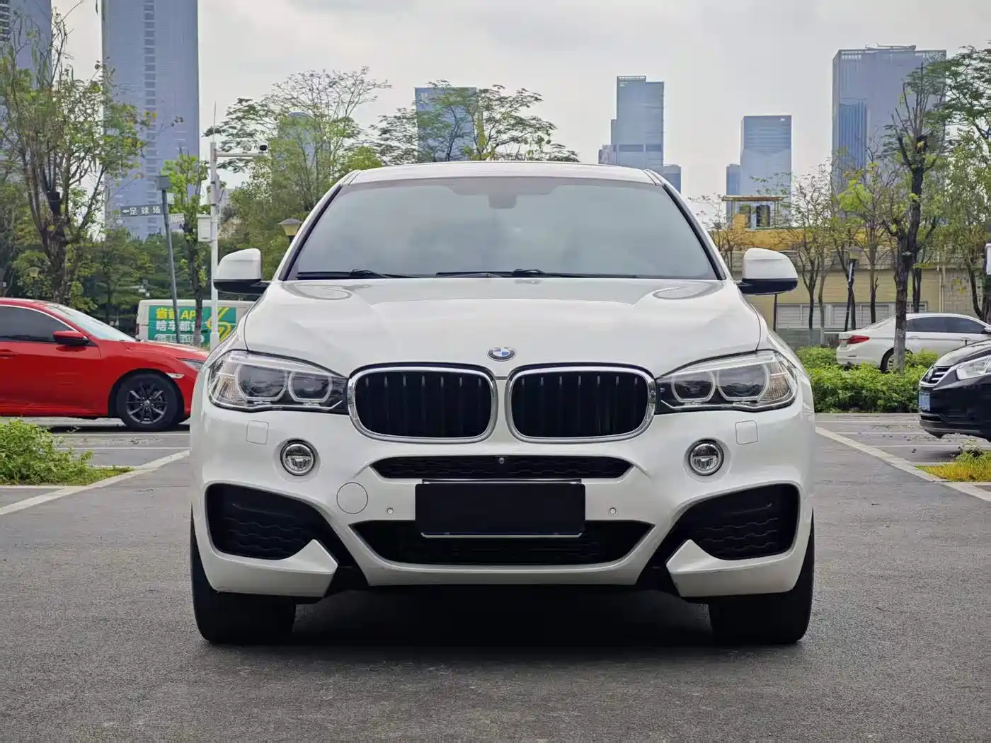 BMW X6