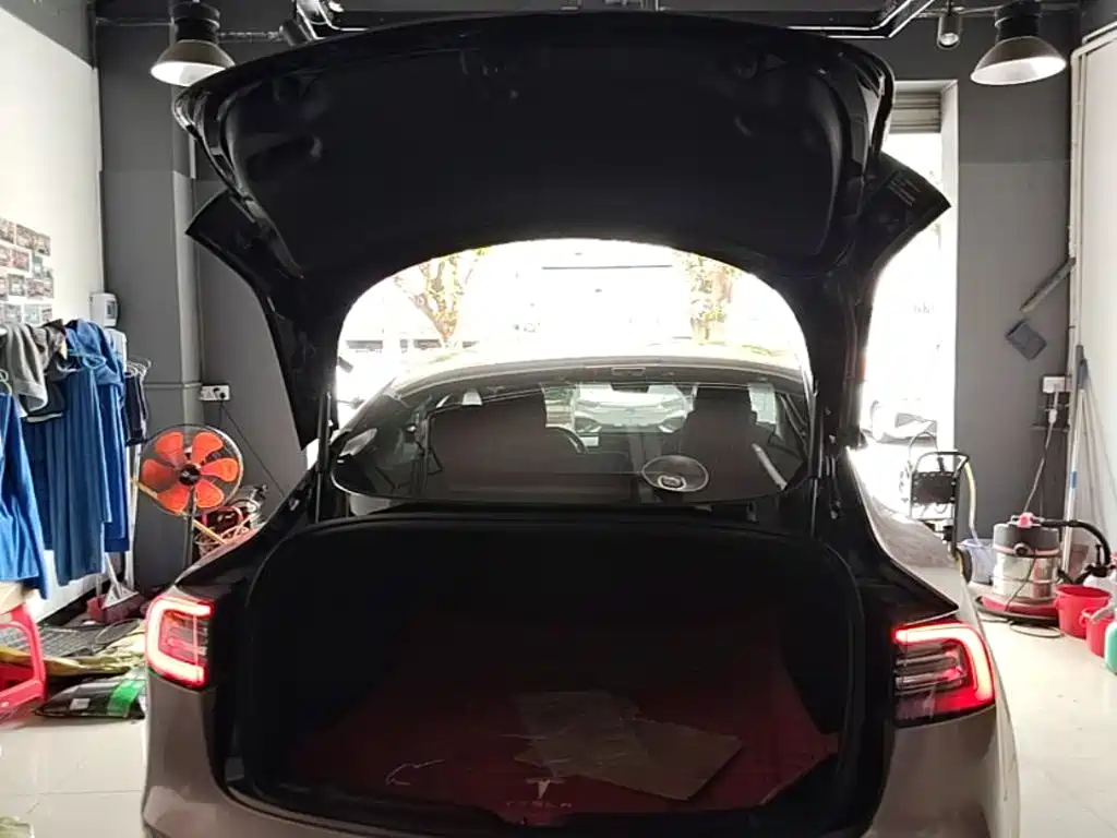 Tesla Model 3 2020 2020 Standard Range Rear-Wheel Drive Upgrade