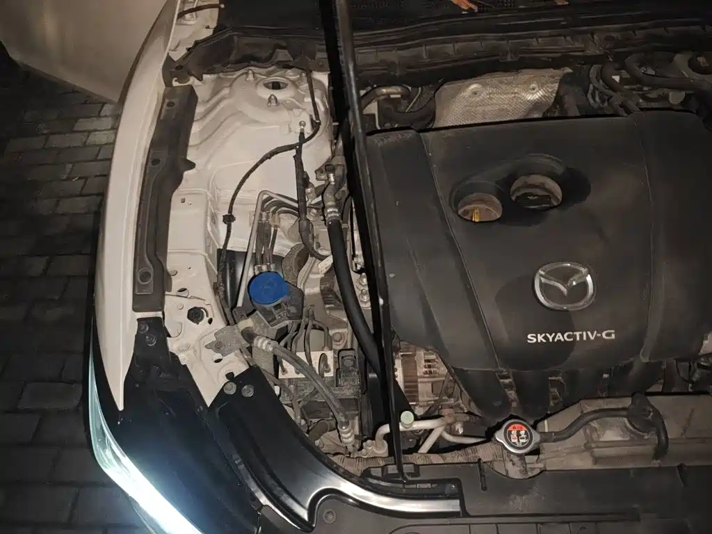 Фото 21 - Mazda Atenza