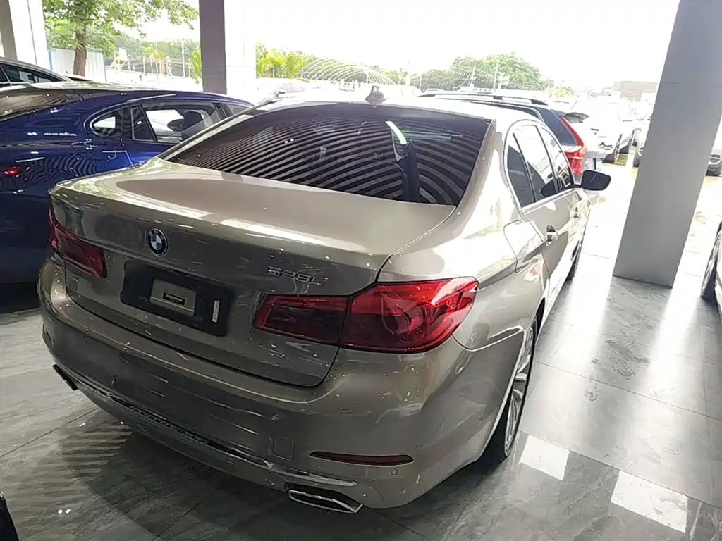 BMW 5 Series 2020 525Li Luxury Package фото 7