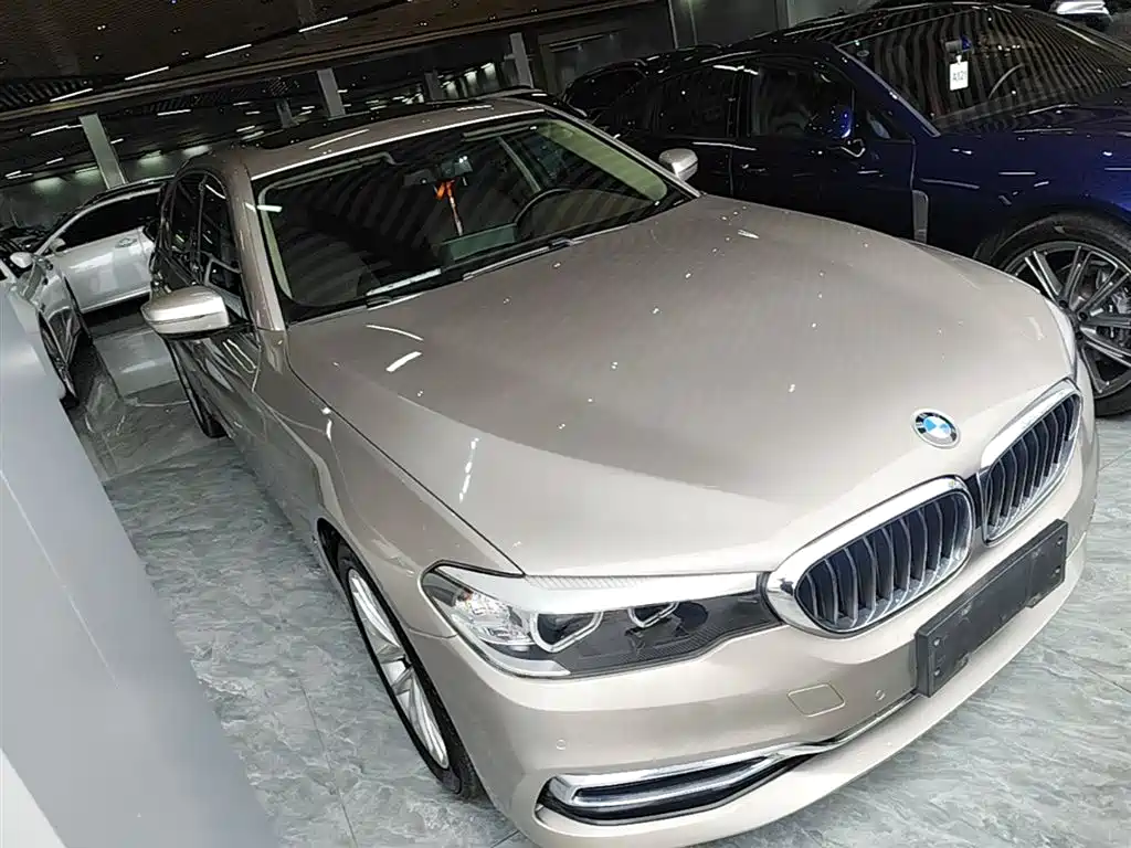 BMW 5 Series 2020 525Li Luxury Package фото 4