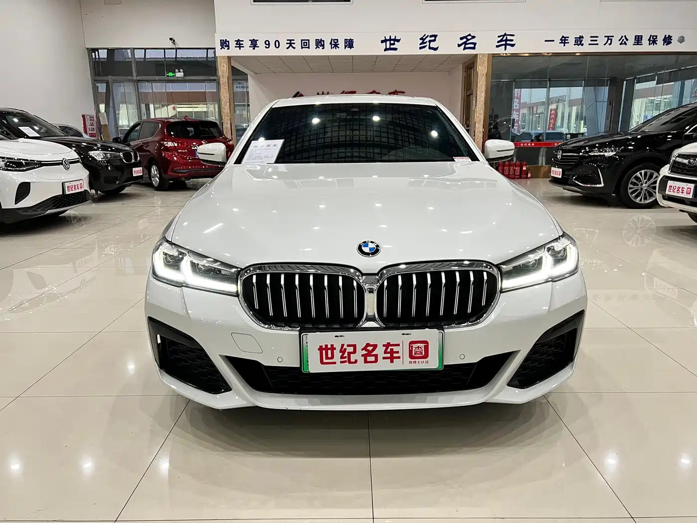 BMW 5 SERIES NEW ENERGY