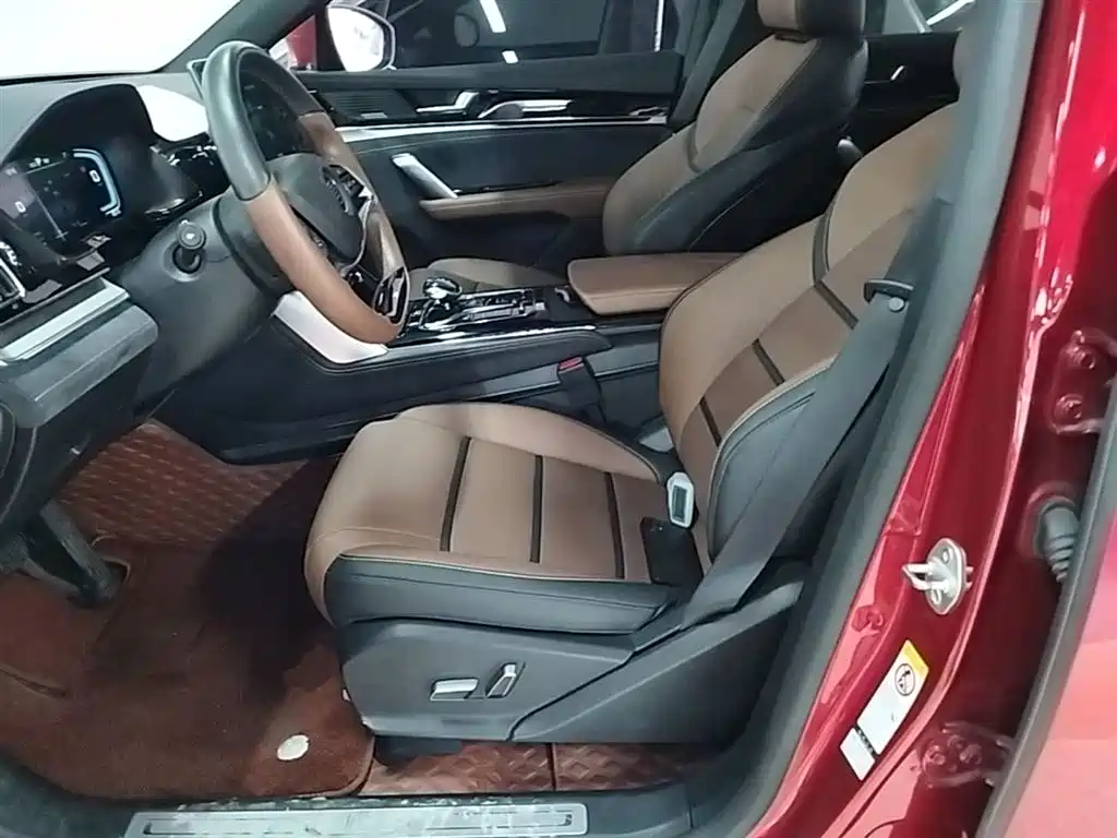 BYD Tang New Energy 2021 DM 2.0T AWD High Performance Premium фото 15