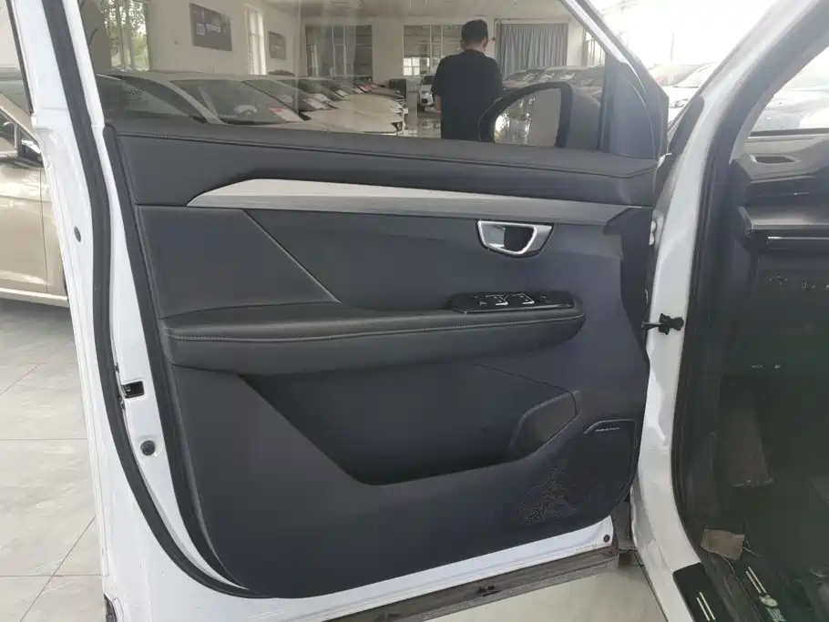 Wuling Motors Wuling Xingchen 2023 2022 2.0L DHT Electric Speed Edition