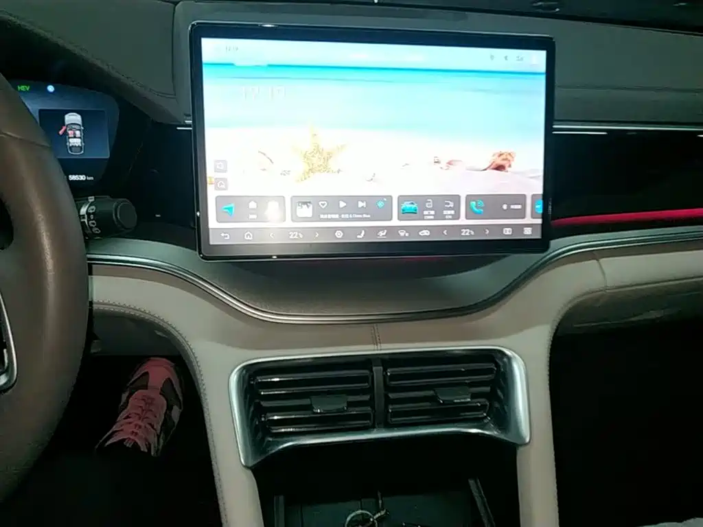 BYD Song PLUS PHEV 2025 DM-i 112KM Honor фото 13