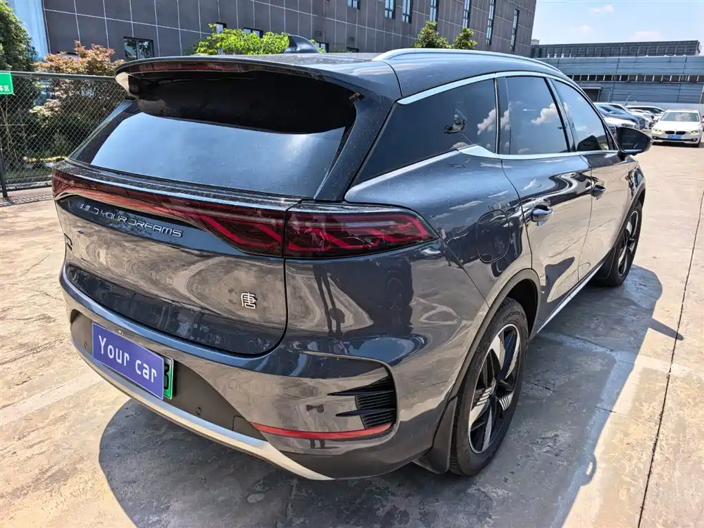 BYD Tang New Energy 2024 DM-i Honor Edition 112KM Premium фото 6