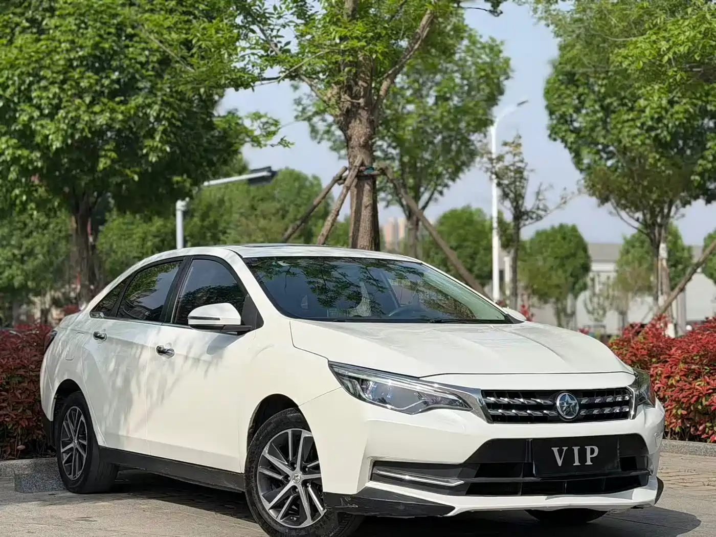 QICHEN D60