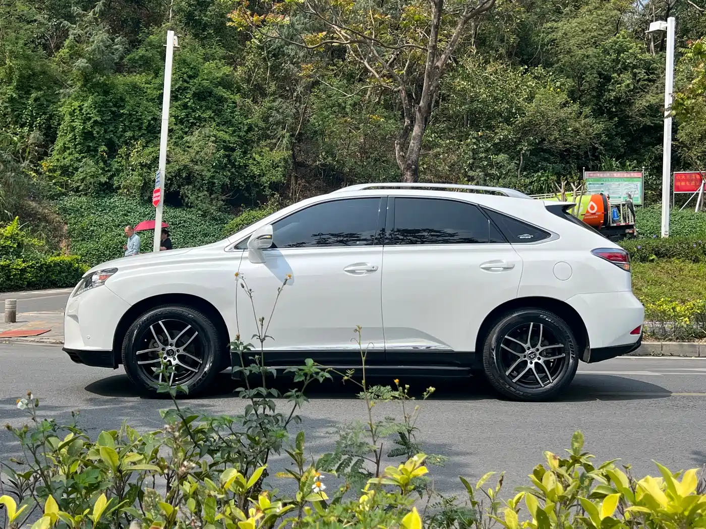 Lexus RX Classic 2014 2013 270 Elite