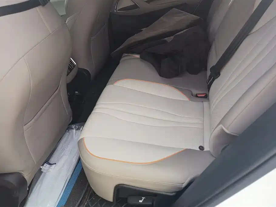 BYD SONGJIANG NEW ENERGY