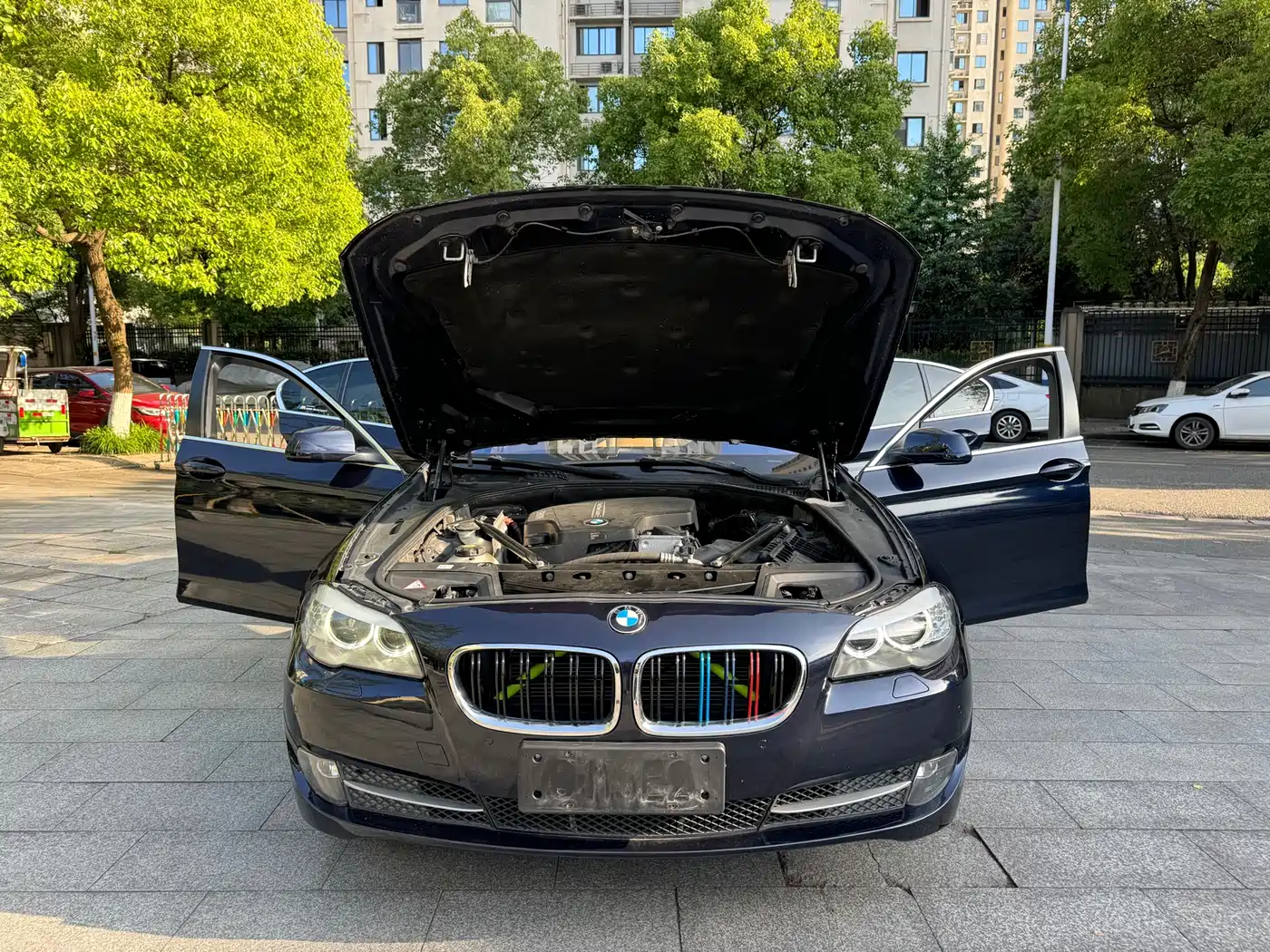 BMW 5 Series 2013 525Li Luxury фото 18