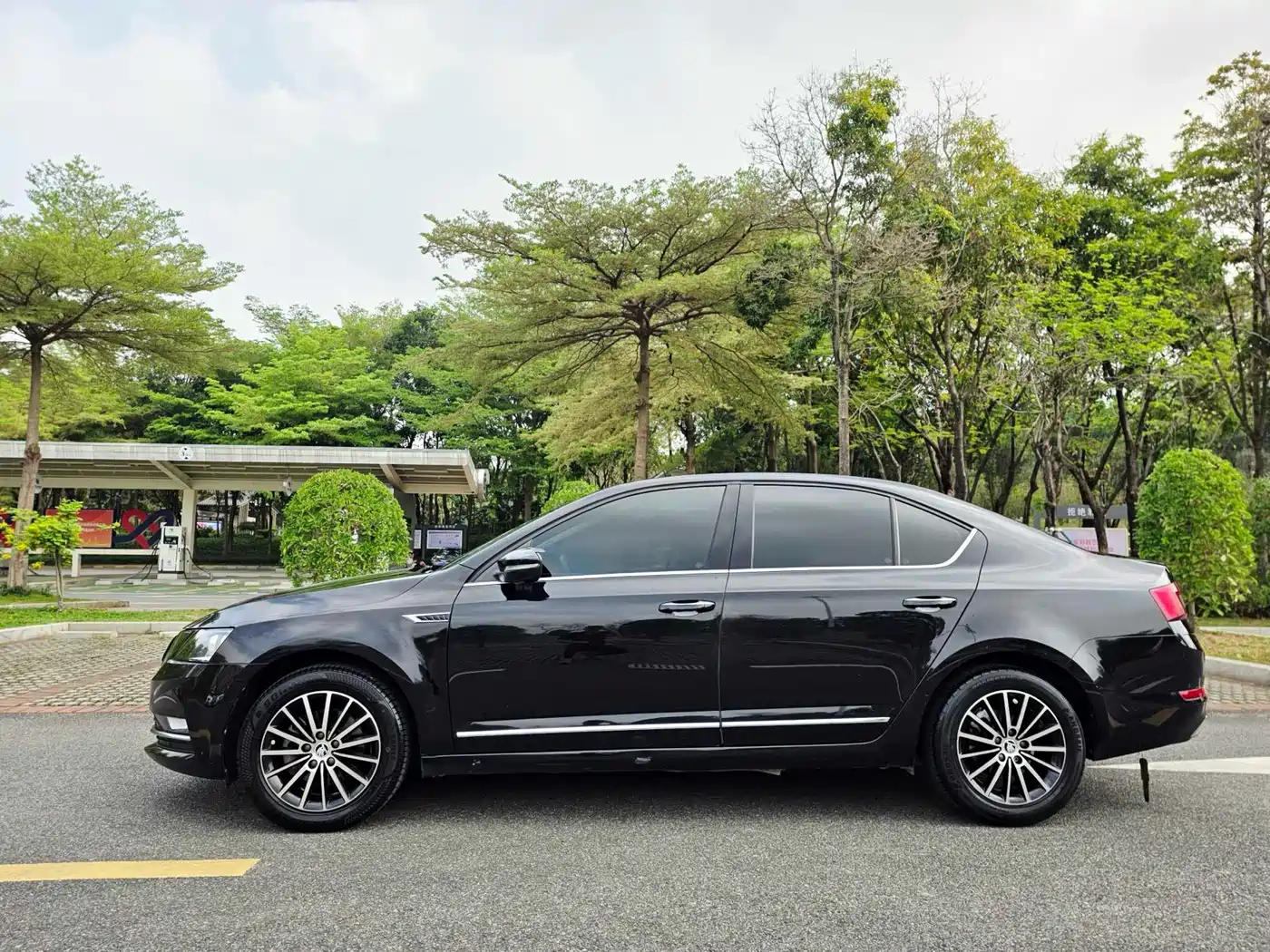 Škoda Octavia 2019 1.5L Automatic Luxury Edition фото 15