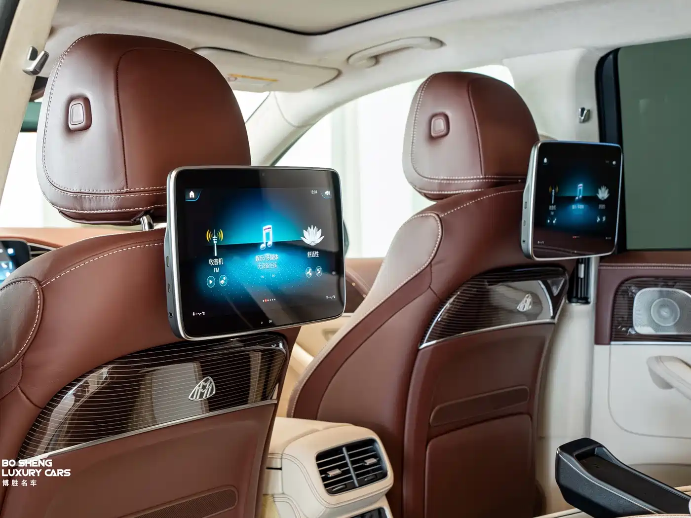 Mercedes-Benz Maybach GLS 2022 GLS 600 4MATIC Ceremony Edition фото 25