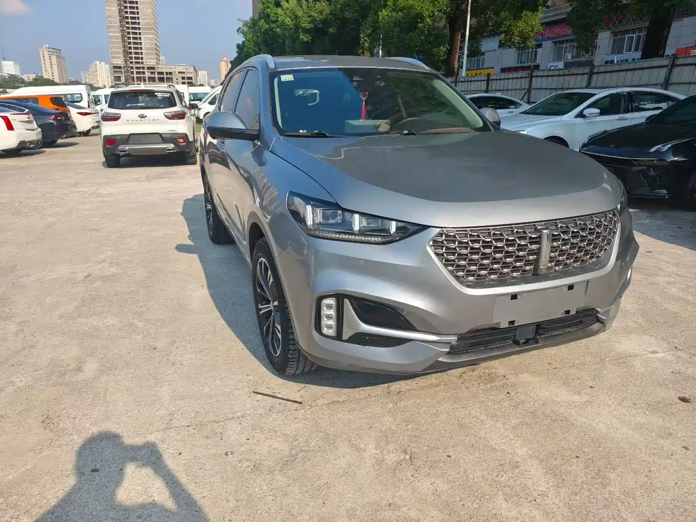 Фото 3 - WEY VV6