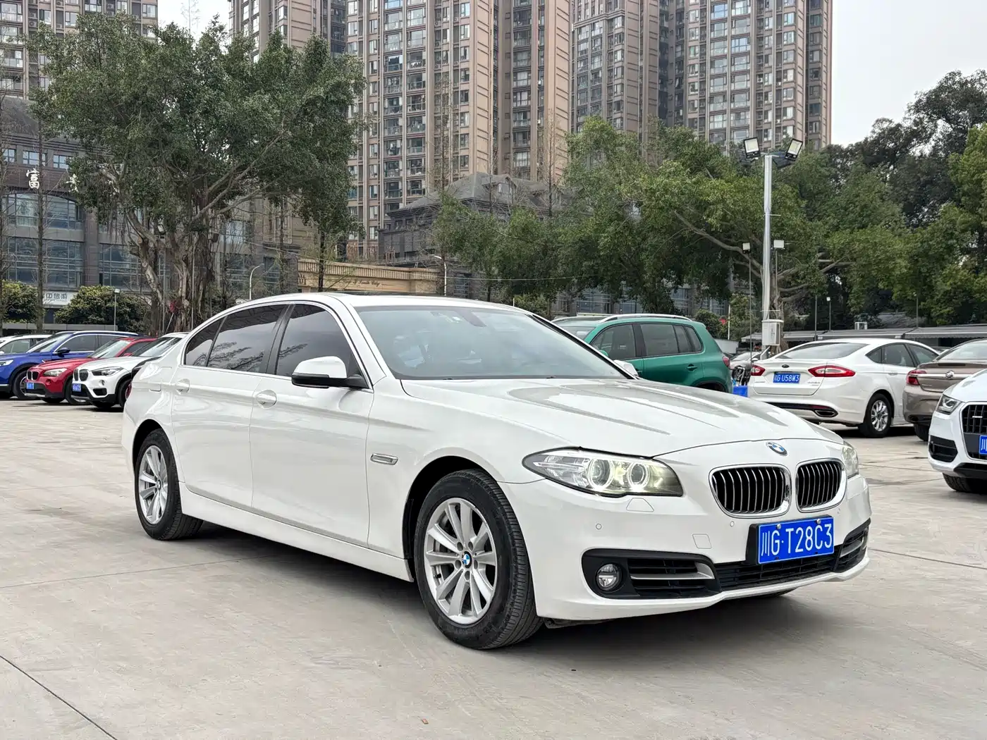 BMW 5 Series 2014 520Li Elegance фото 3
