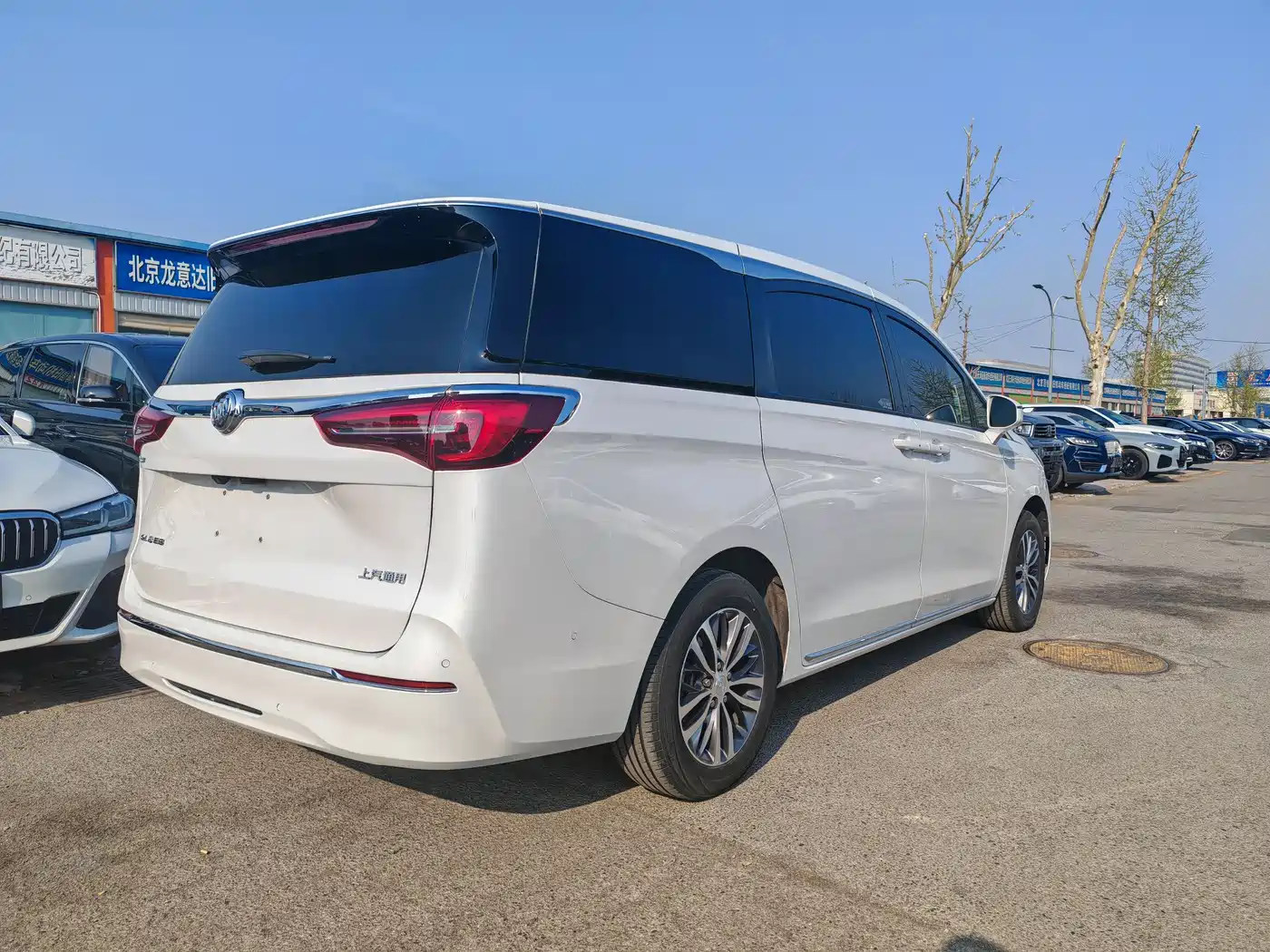 Buick GL8 2023 ES Landmaster Exclusive фото 8