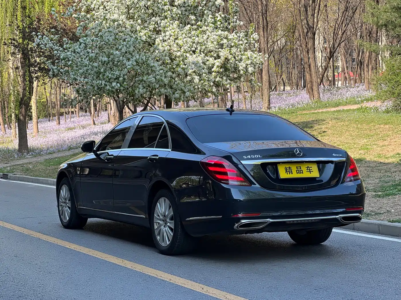 Mercedes-Benz S-Class 2018 S 350 L фото 5