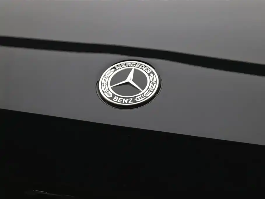 Mercedes-Benz G-Class 2023 G 500 фото 28