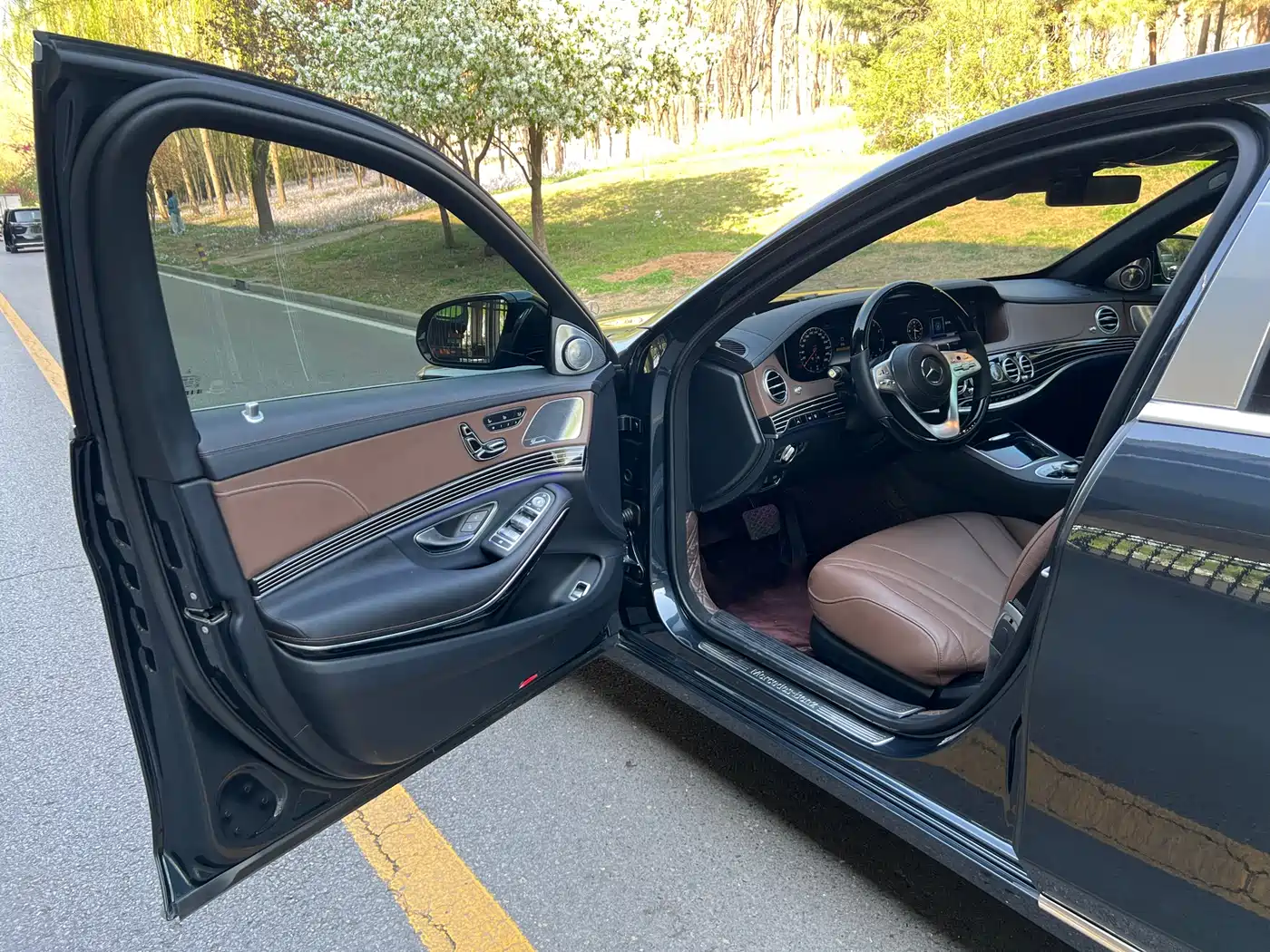 Mercedes-Benz S-Class 2018 S 350 L фото 8