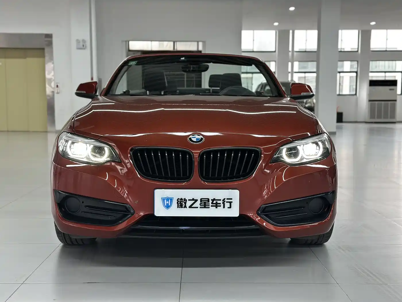 BMW 2 Series (Import) 2019 225i Convertible Coupe Sport Design Package фото 2