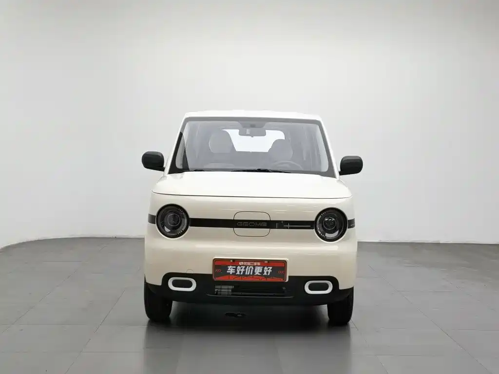 Geely Galaxy Panda 2026 2025 Panda mini 210km Vitality Bear