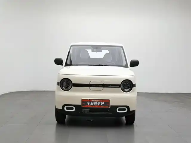 Geely Galaxy Panda 2025 Panda mini 210km Vitality Bear — фото 3