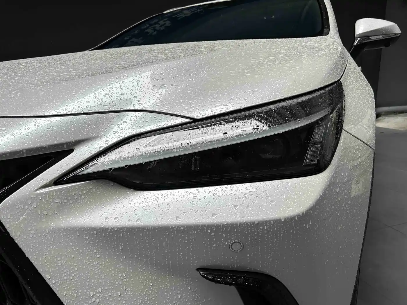 Lexus NX 2024 2023 350h FWD Dynamic Edition