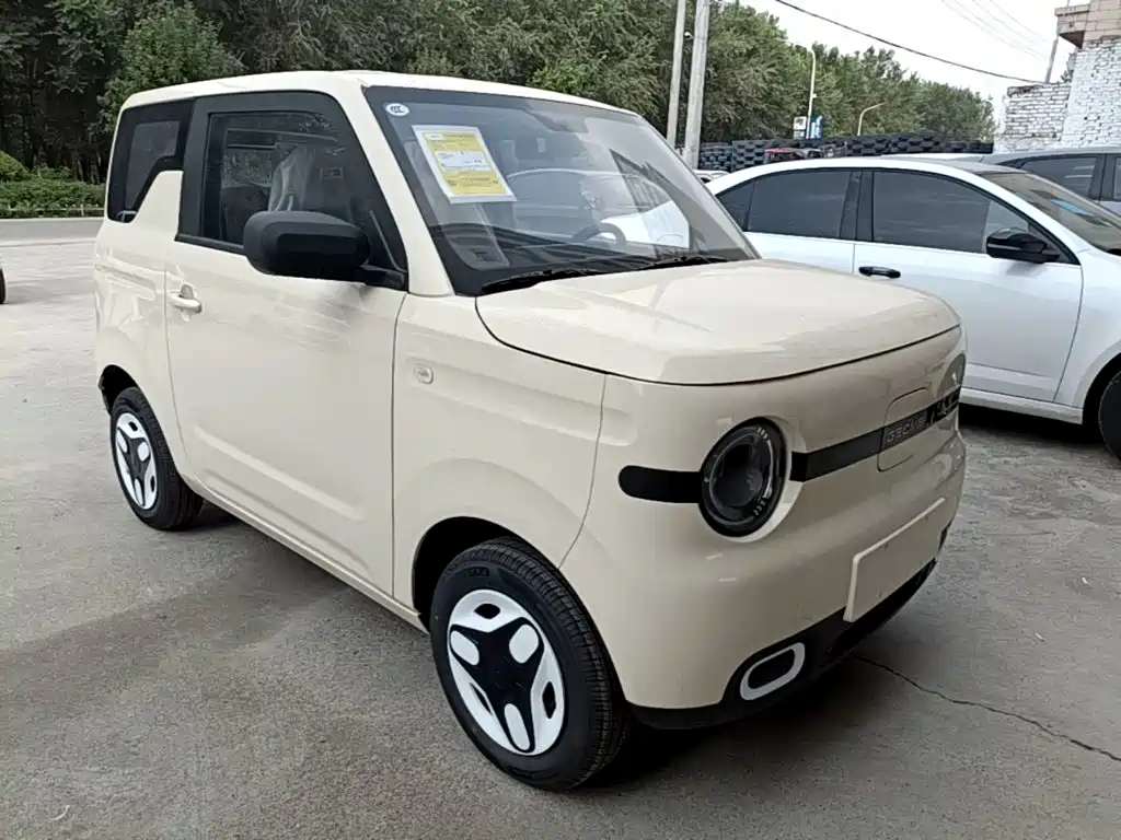 Geely Galaxy Panda 2026 2025 Panda mini 210km Vitality Bear