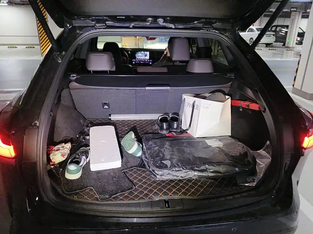 Фото 5 - Lexus RX