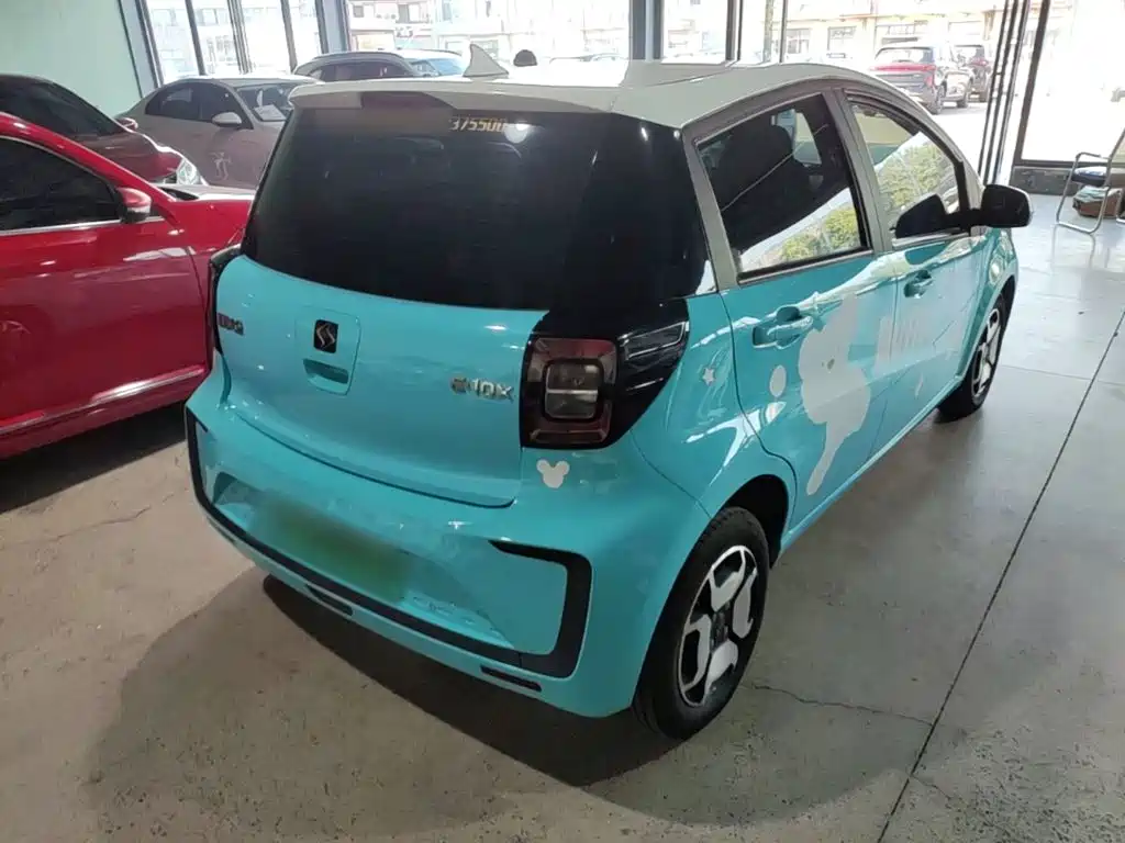 Sehol Flower Fairy 2021 2021 Jimei Edition 302km Luxury
