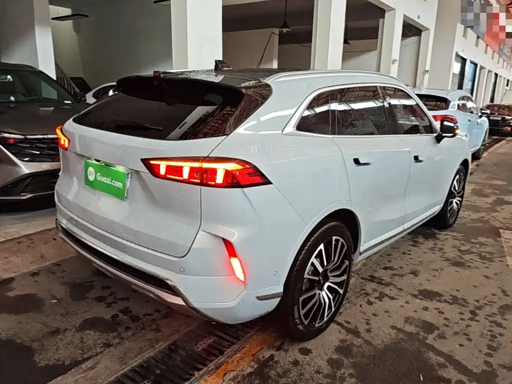 WEY Mocha 2023 2021 2.0T 4WD Premium Edition