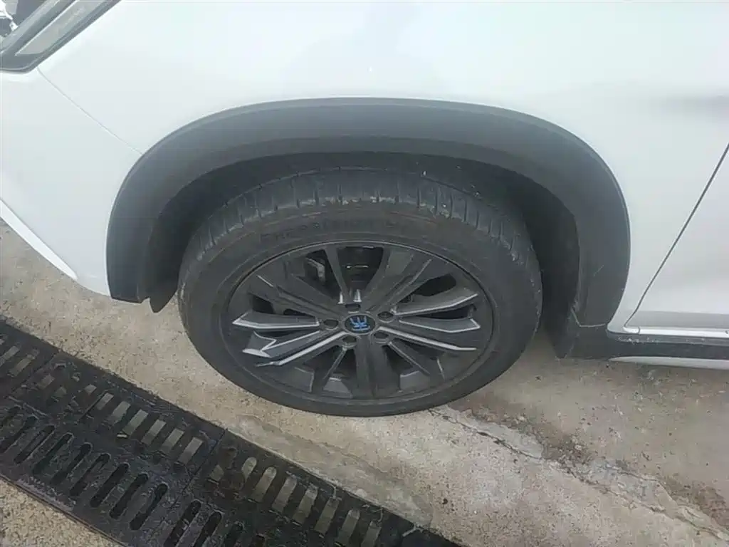 BYD Song New Energy 2019 Song EV500 Smart Connection Glory фото 23