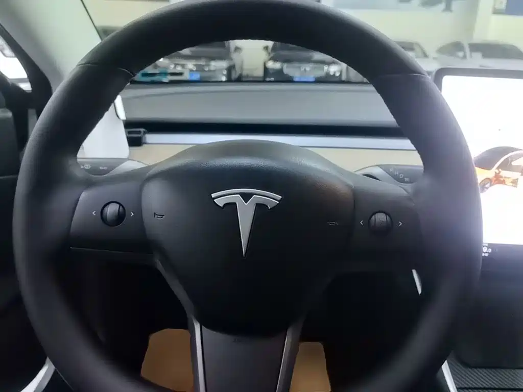 Tesla Model 3 (Import) 2020 2019 Long Range All-Wheel Drive Edition