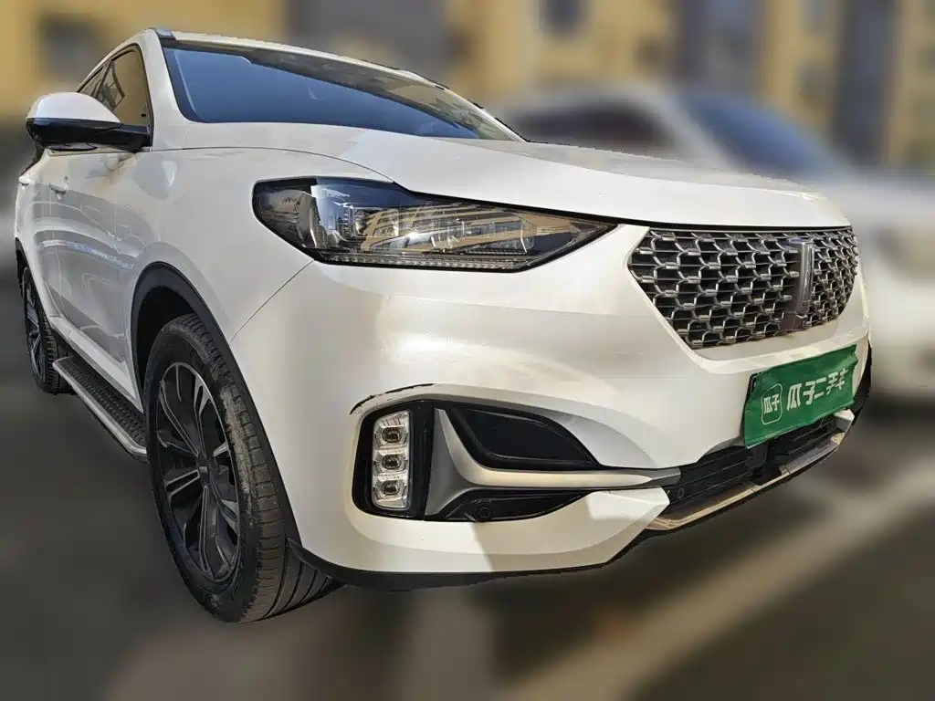 2021 WEY VV6