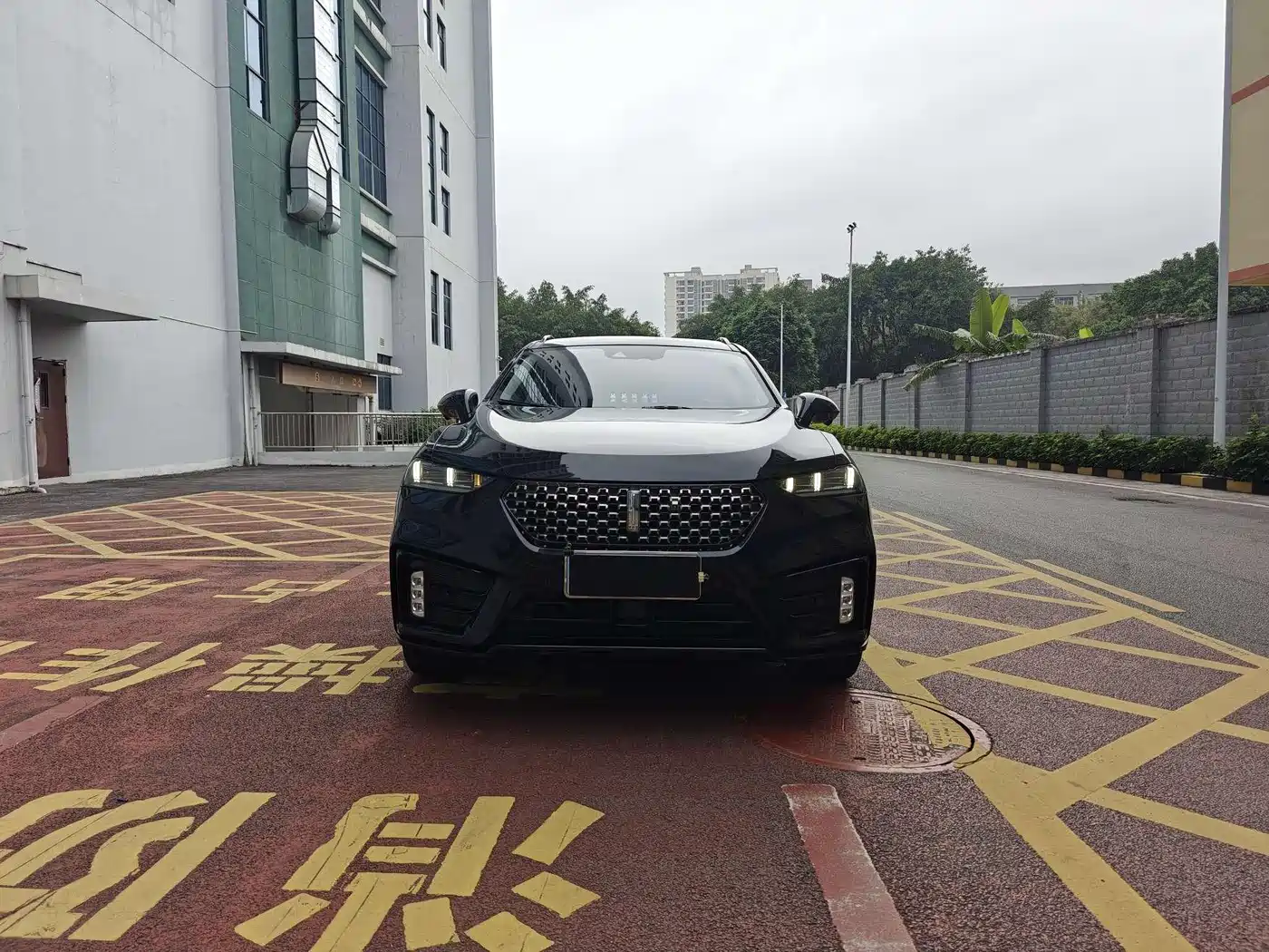 WEI PAI WEI BRAND VV7